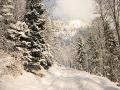 grammont