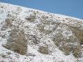 IMG_0040 